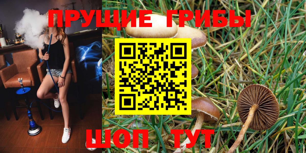 Галлюциногенные грибы Psilocybine cubensis  Галлюциногенные грибы Cubensis  где купить наркоту  Вход с VPN  Нефтекумск 